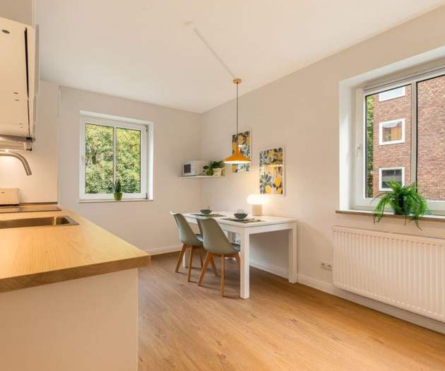 Newly renovated apartment