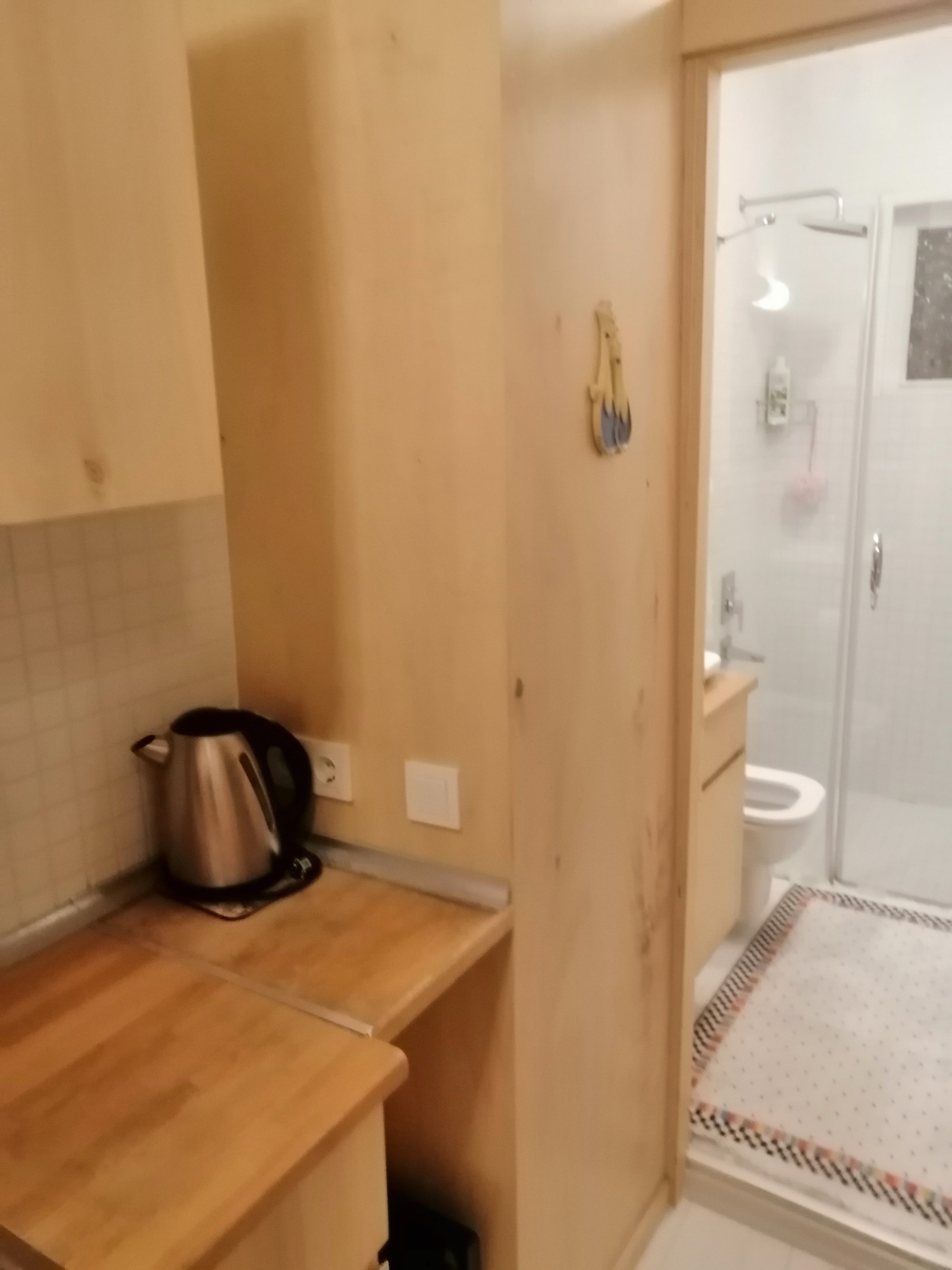 Kitchen next to the bathroom 