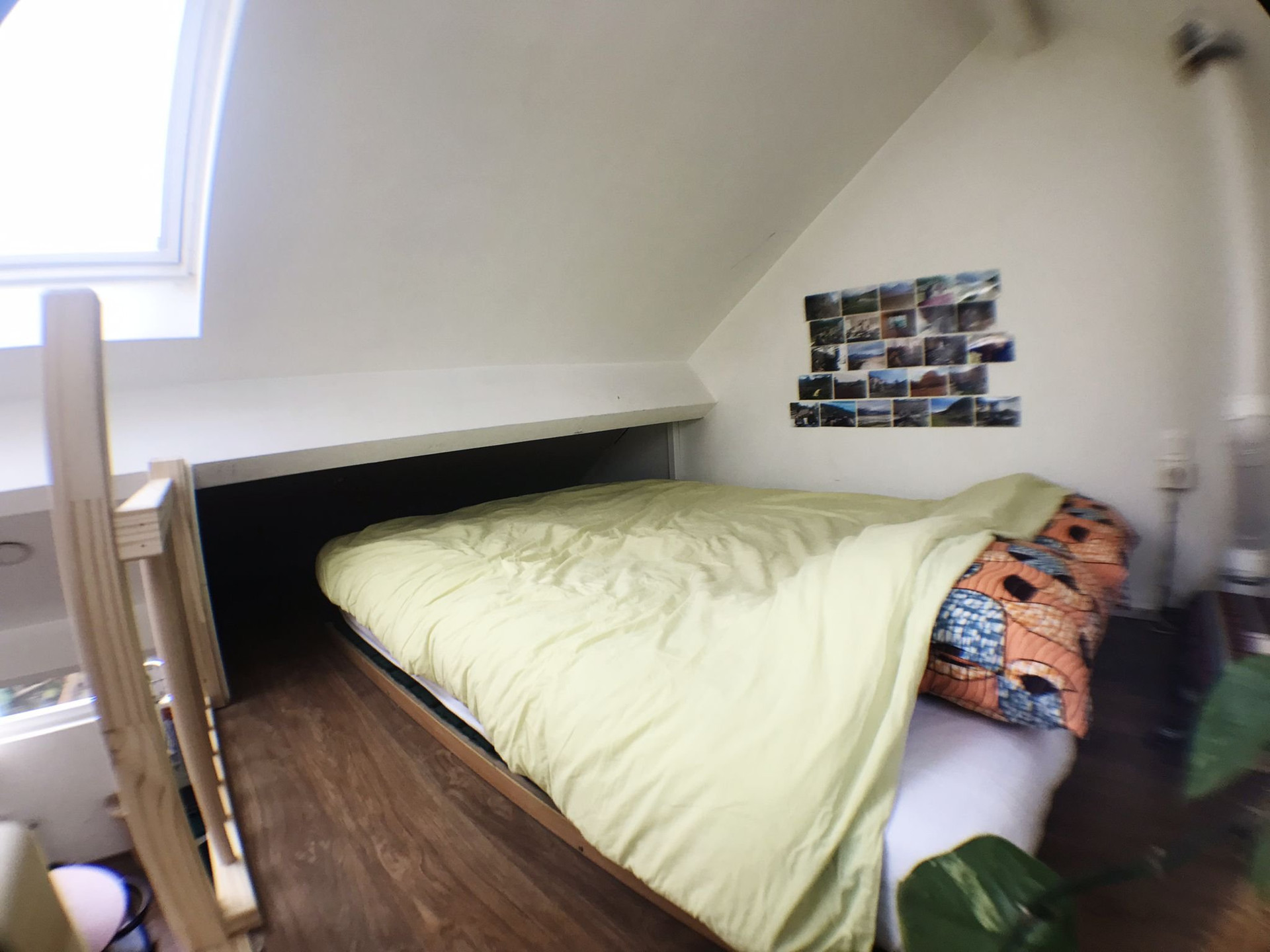 Loft bed under skylight
