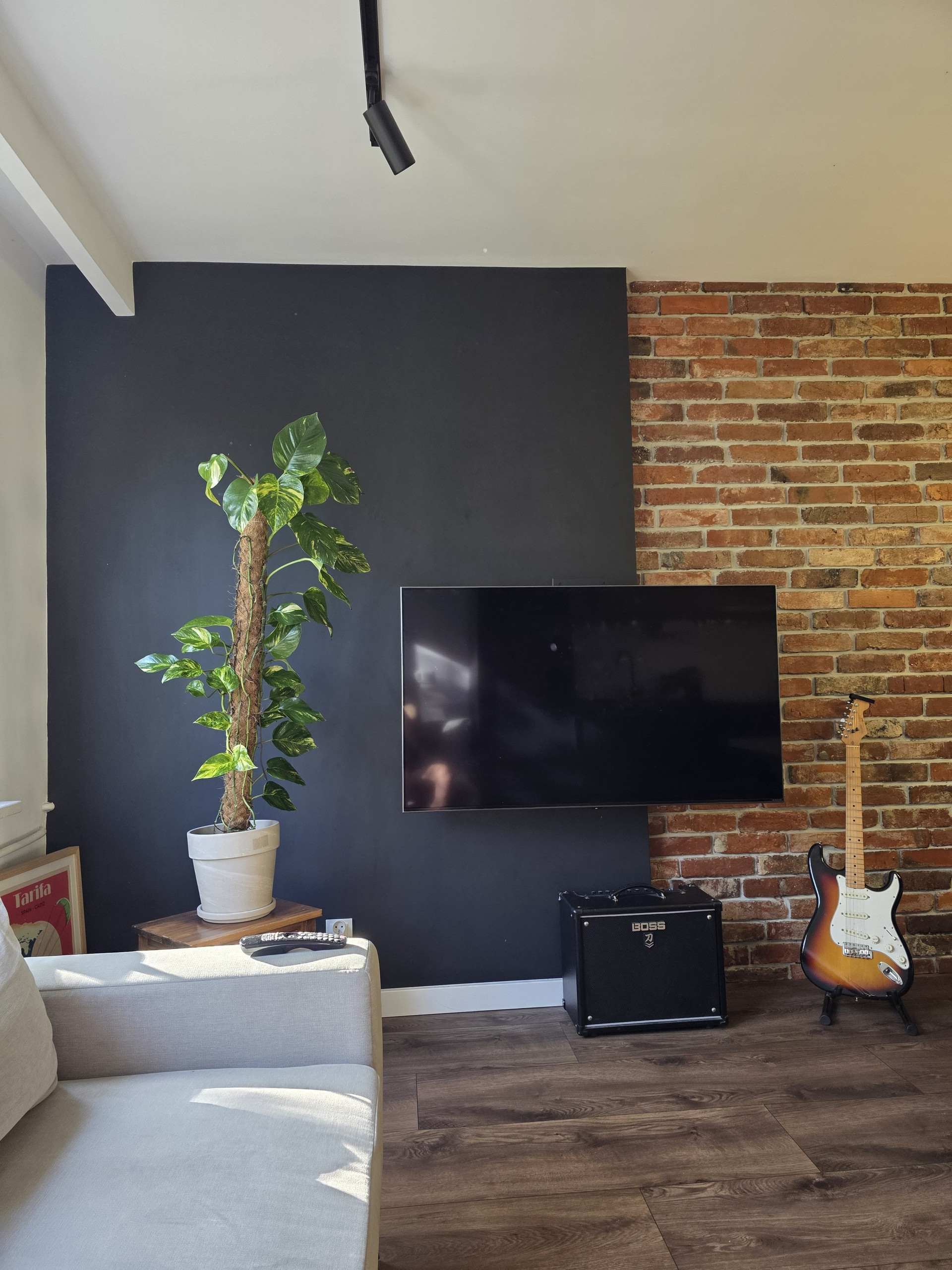 TV wall with plant decor