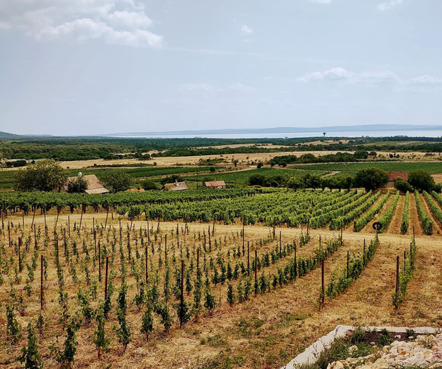 Costs  house with lake Balaton view