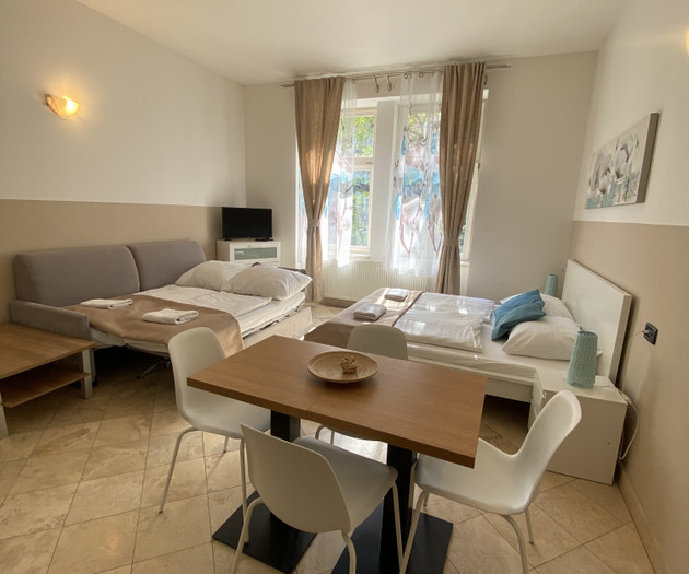 Wohnung 1+kk Nummer 15, Nové Město, Legerova