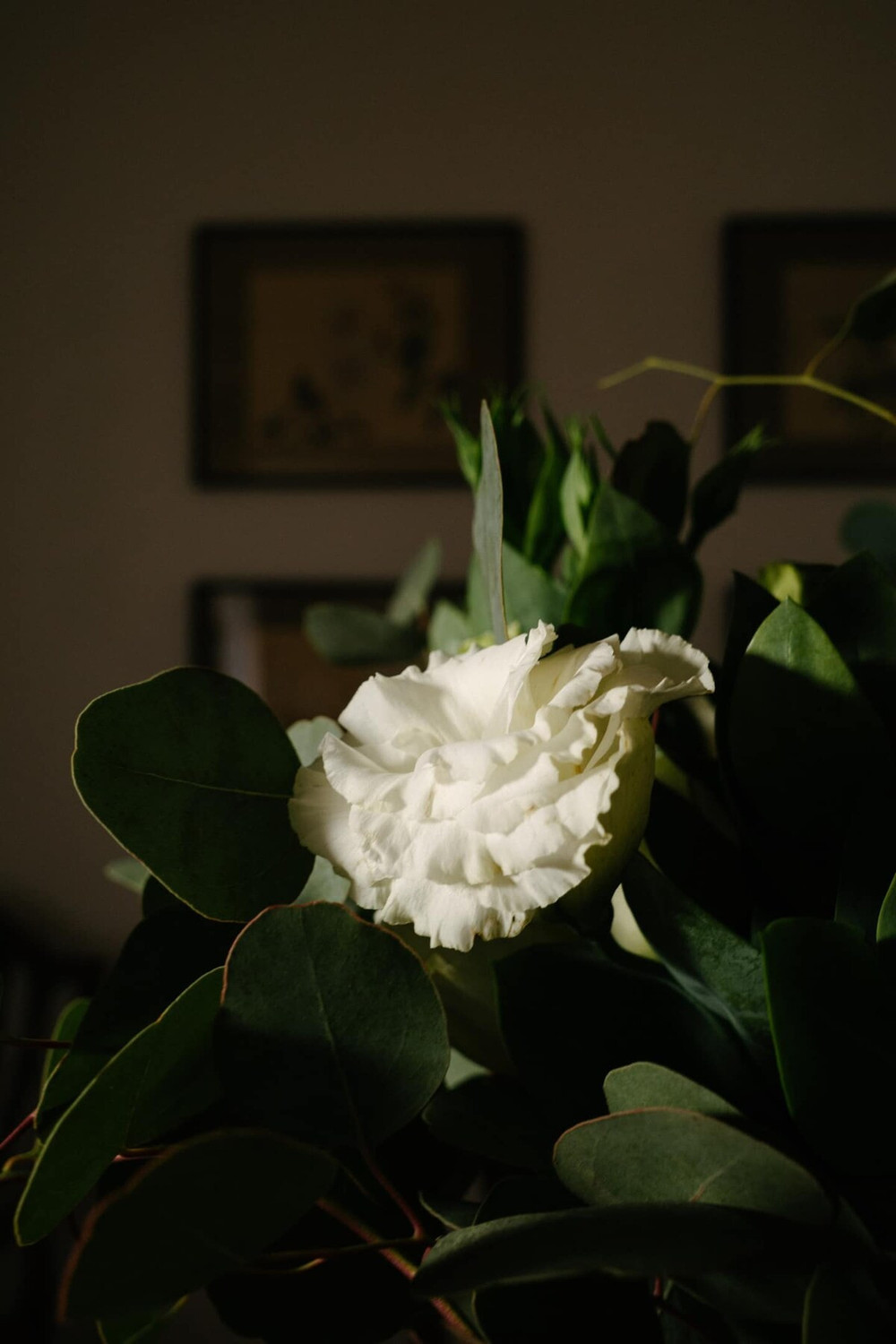 Image #19