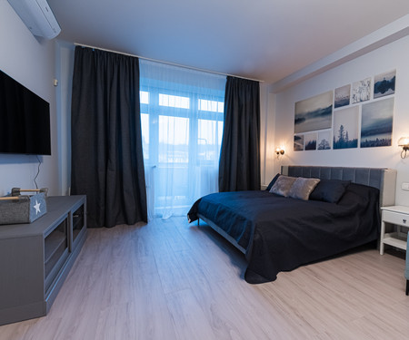 Newly renovated apartment Českomoravská