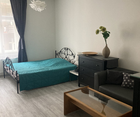 Apartment 2+1, Vršovice, Prague 10