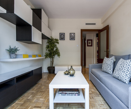 Nice apartment close to Las Ventas Bullring