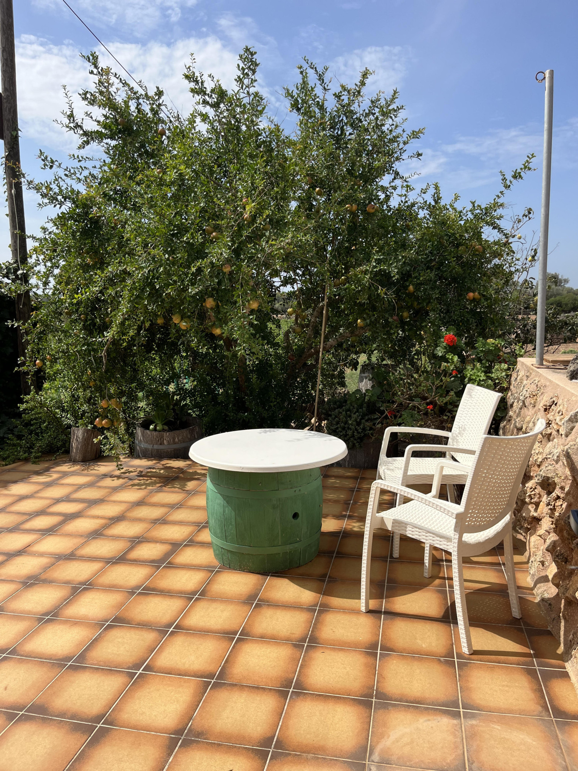 terraza