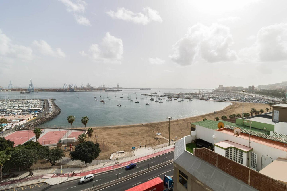 Clara Las Palmas' Loft preview