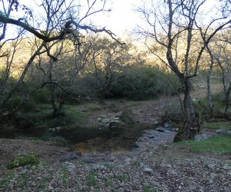 Country house 15 m from Sintra and the sea!