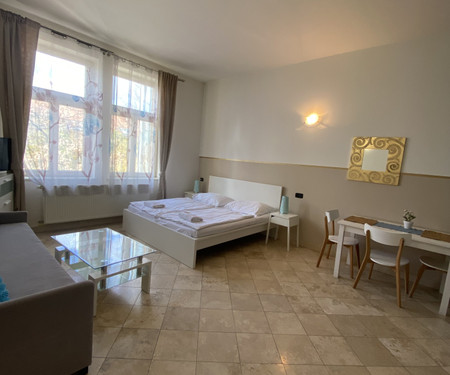 Studio apartment IP Pavlova METRO C, Prague 2