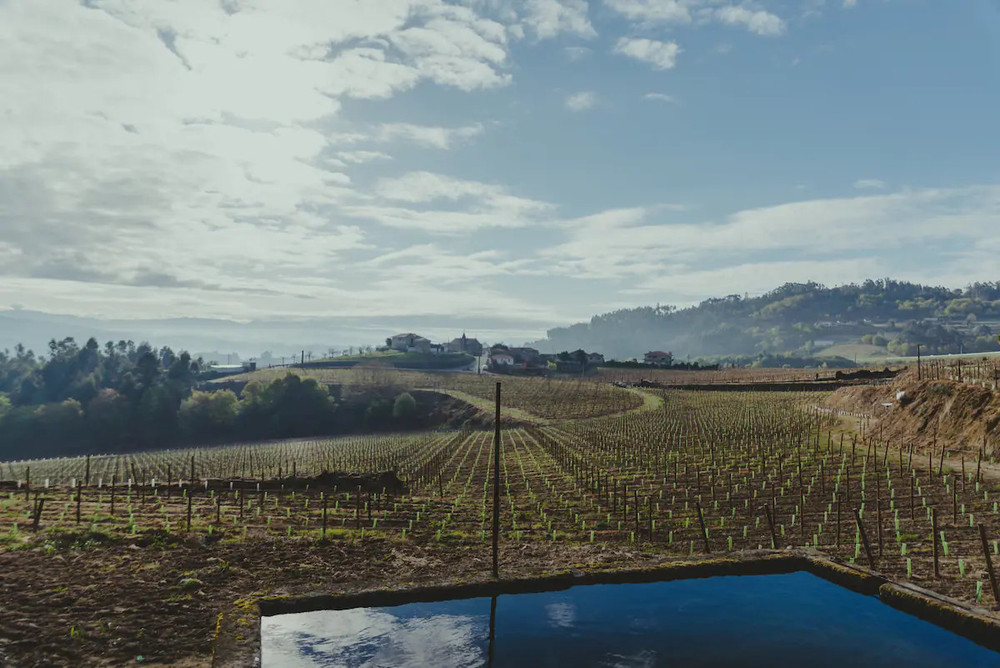 Farmhouse in Felgueiras, 30m away from Porto preview