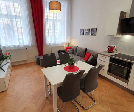 Brand new 2 bedroom apartment in the city center