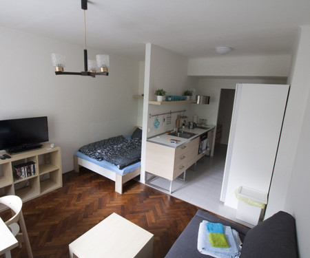 Flat for rent - Brno-Stred - Zabrdovice