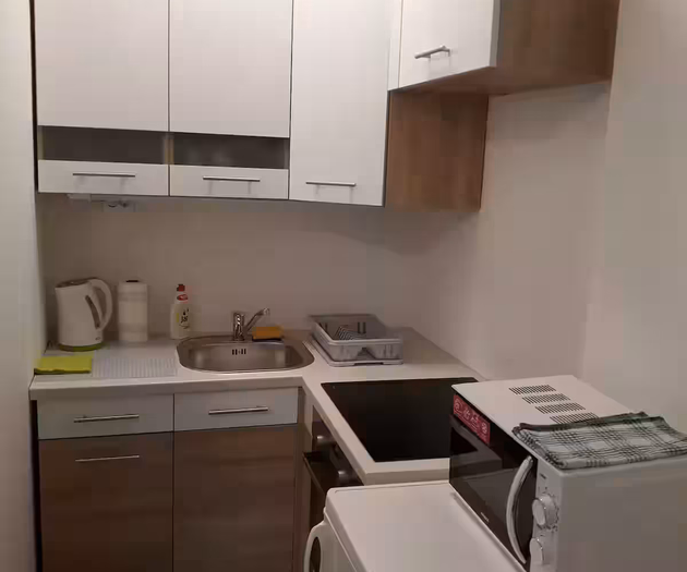 Ostrava flat