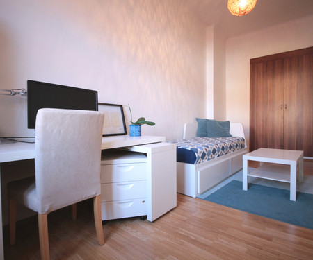 Room in spacious apartment in Letná