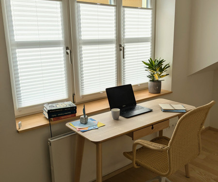 Bright and newly renovated house in Brno