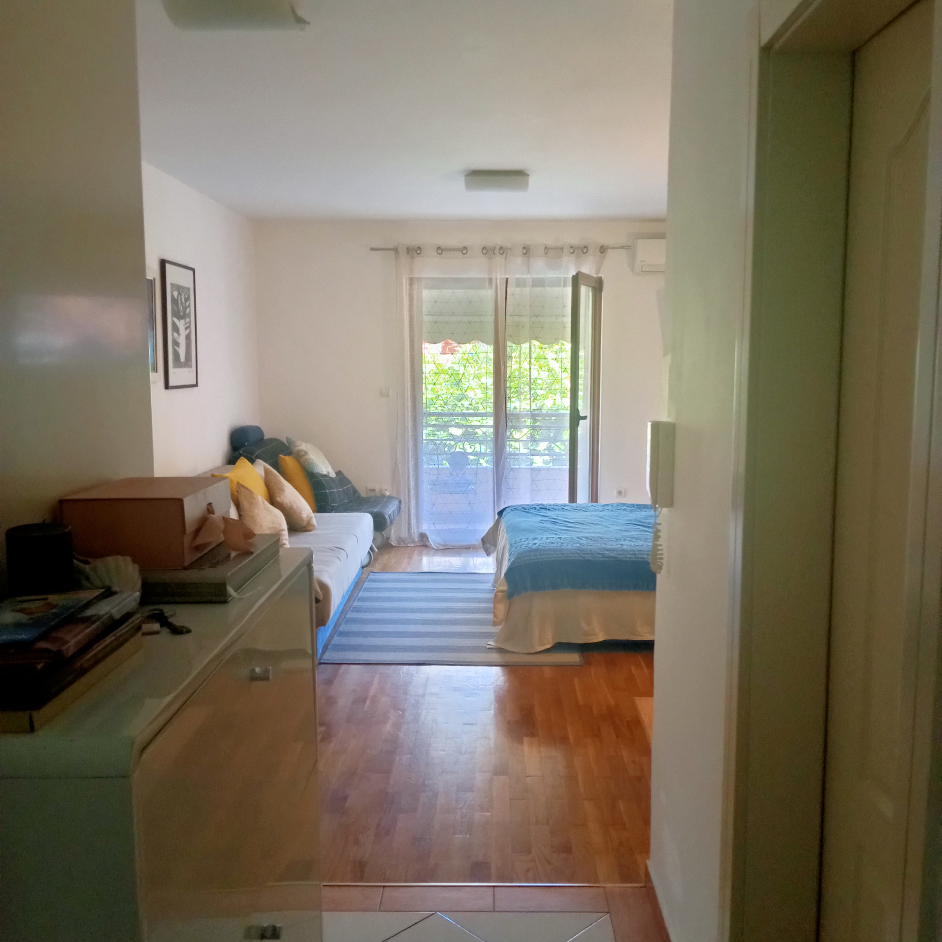 View from the entrance door