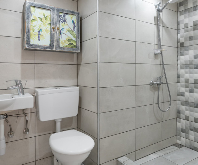 Bathroom with shower and toilet