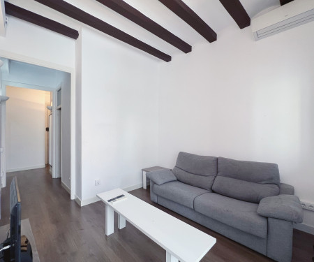 Lovely 3-Bedroom apartment in Gracia