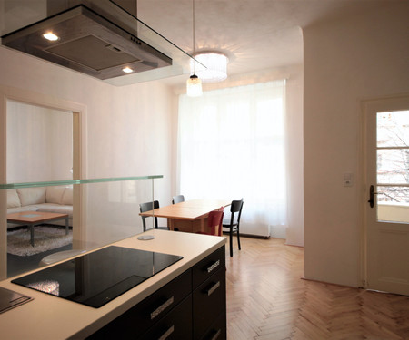 Luxuriously furnished apartment - 2bedroom