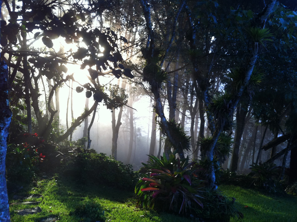 Image #42
