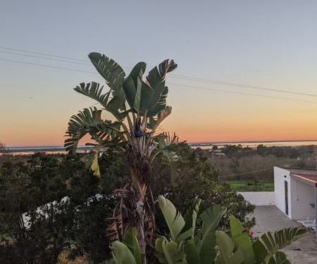 Bela Vista Coliving: room with balcony