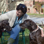 Landlords profile photo
