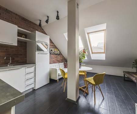 Brick penthouse 3kk flat in Prague fit 5