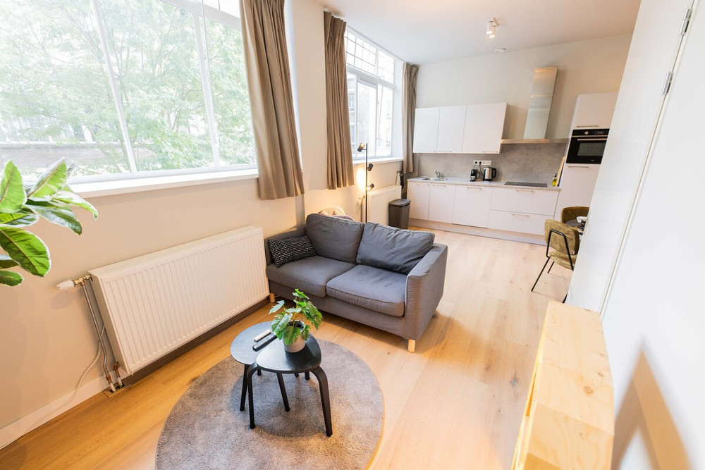Luxurious Dowtown 3BDR Apartment WS preview