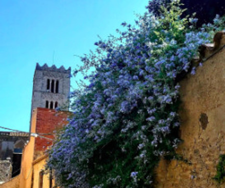 The Blue House of the Costa Brava Lenis attic