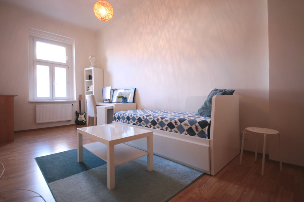 Room in spacious apartment in Letná preview