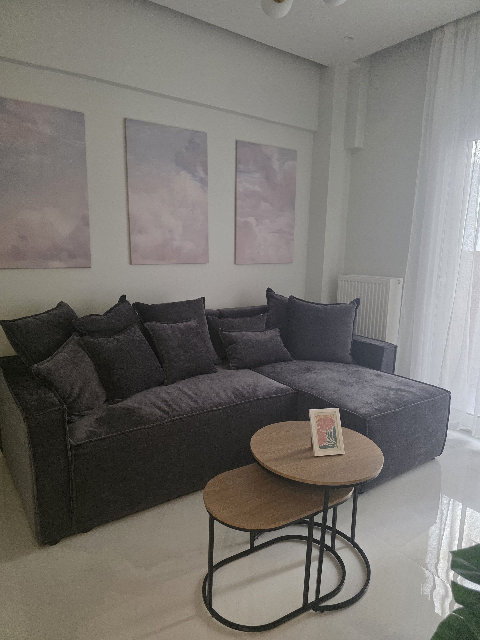 Living room sofa and coffee tables