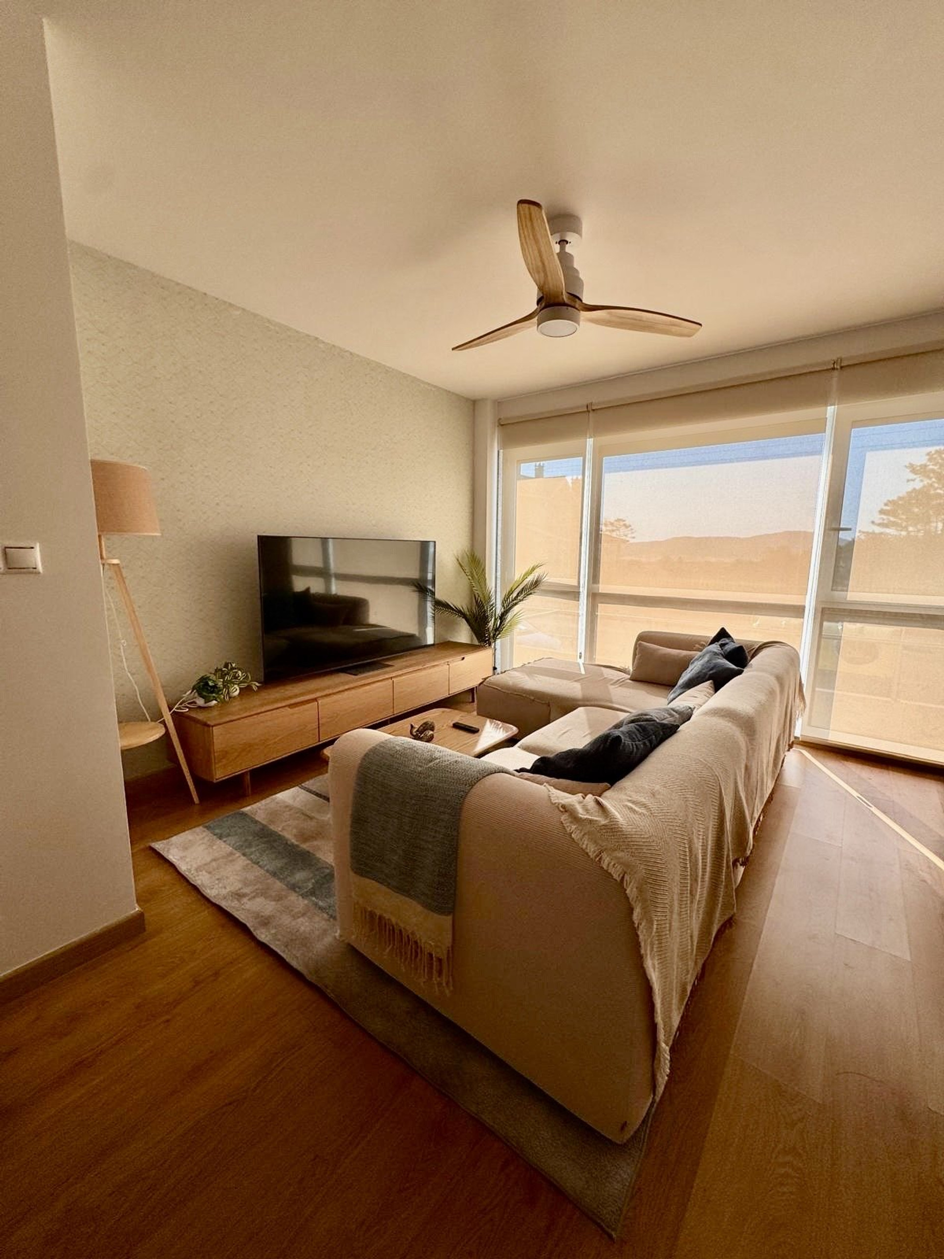 Bright living room with sofa