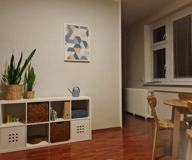 Living area shelving and dining table