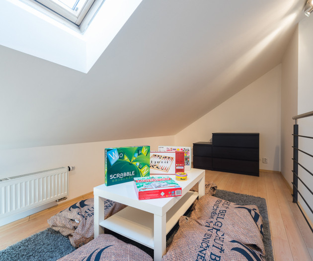 ROOF APARTMENT with TERRACE near WENCESLAS Sq.