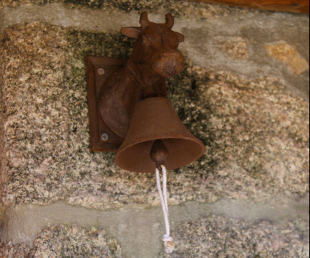 Casa Boletus