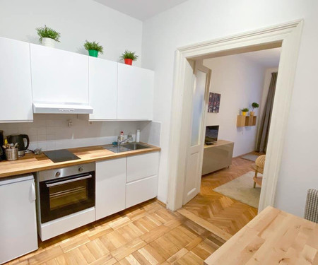 Apartamento para arrendar  - Prague 3 - Zizkov