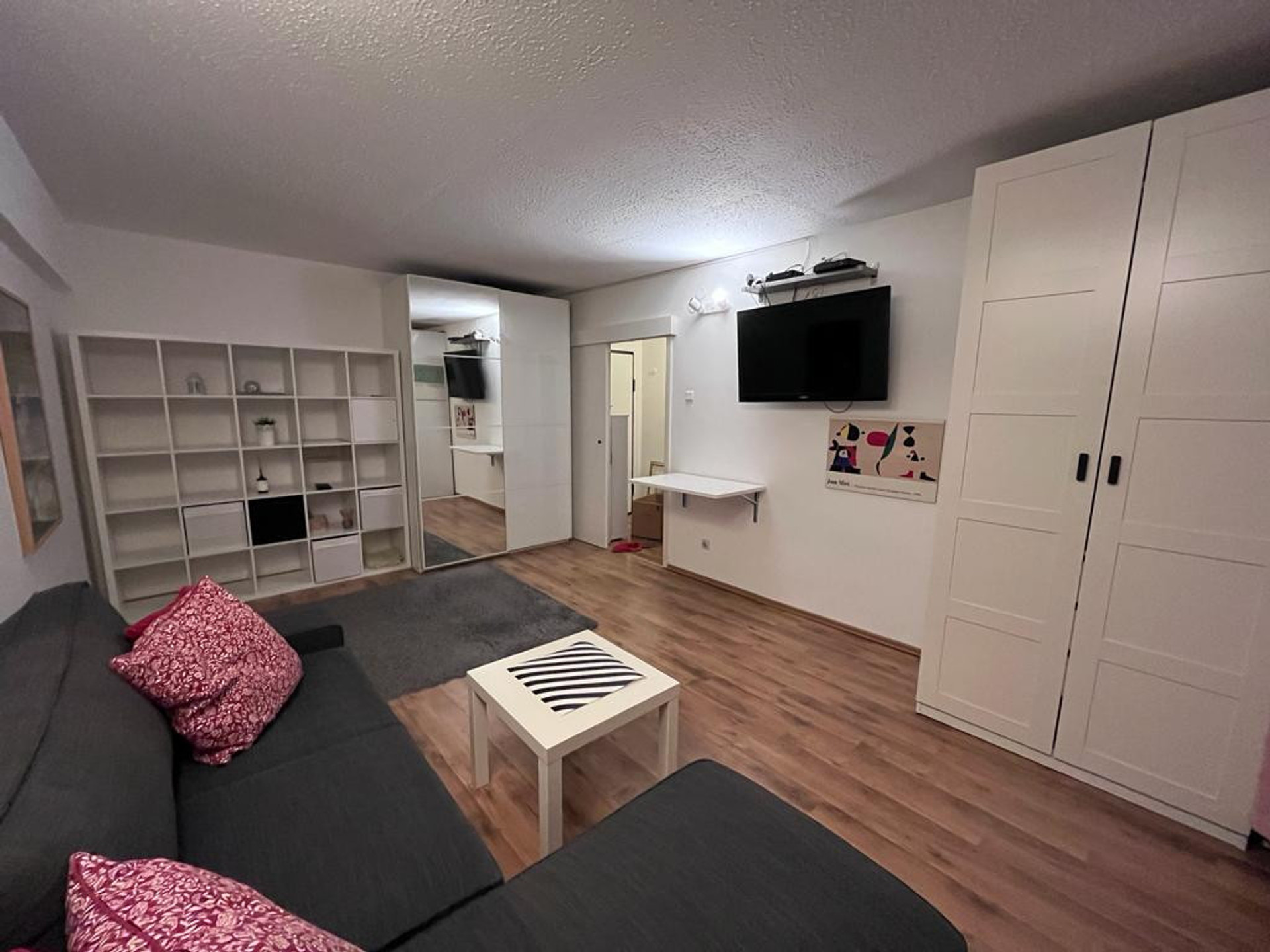 Living room / Bedroom