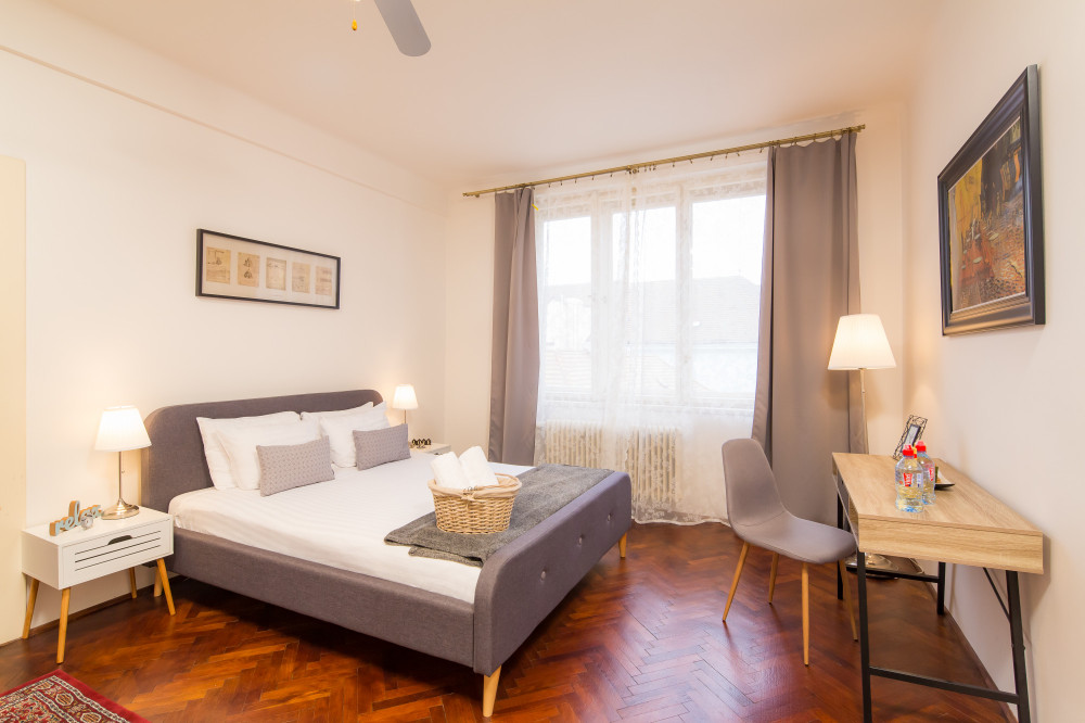 Quaint Urban Apartment with Rooftop Views preview