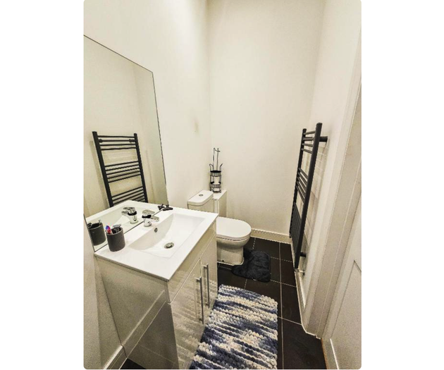 Guest toilet with vanity sink