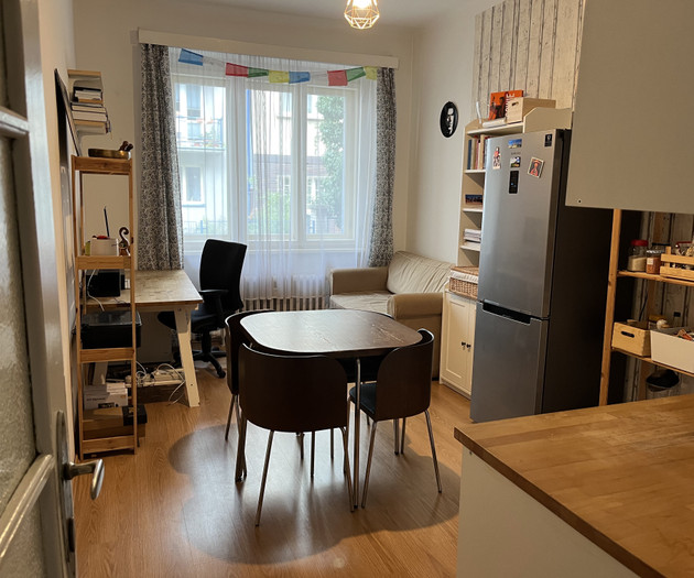 Cozy 1+1 apartment Vinohrady