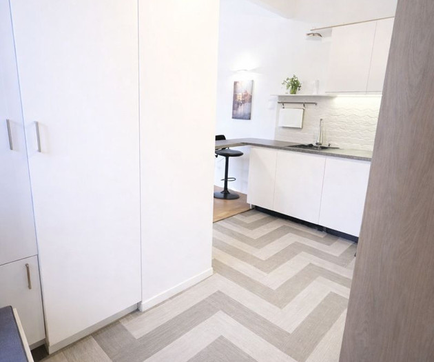 Bright flat with perfect location near Parliament