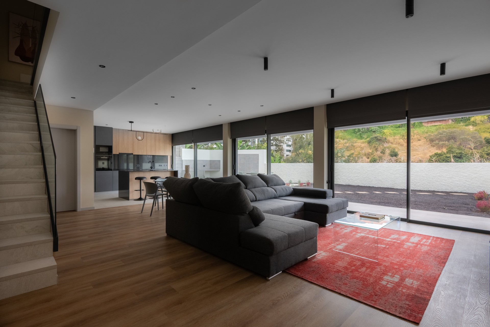 Open living room and kitchen