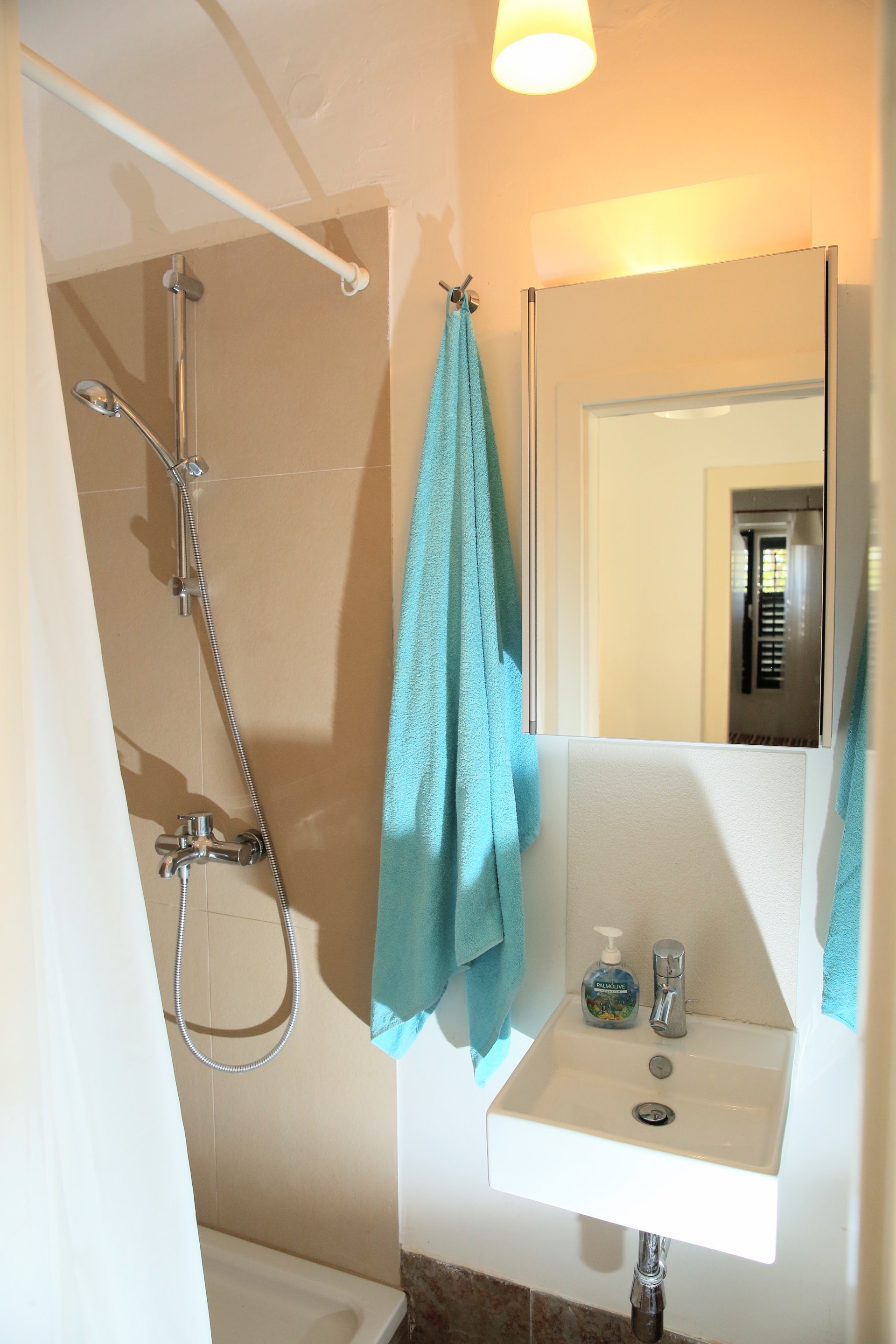 Shower and sink nook