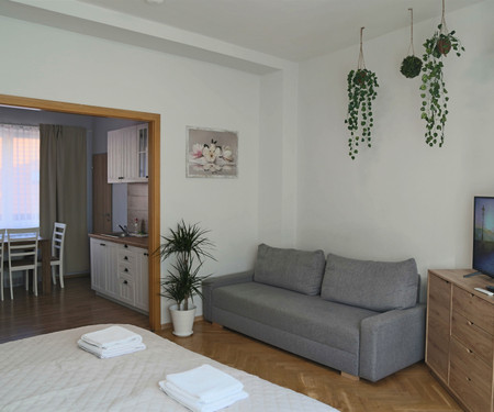 Spacious and sunny 2BR apartment Karlovo Náměstí