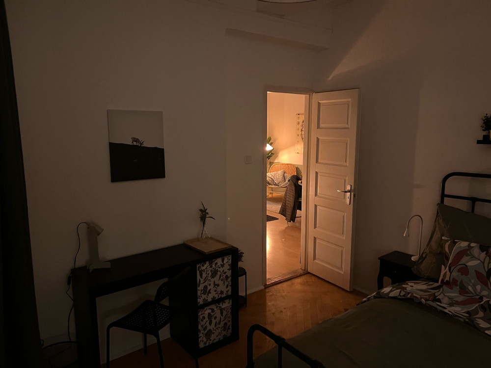Image #9