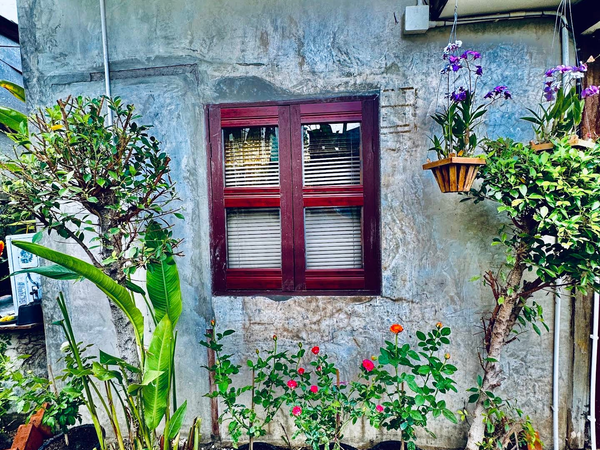 Jardim