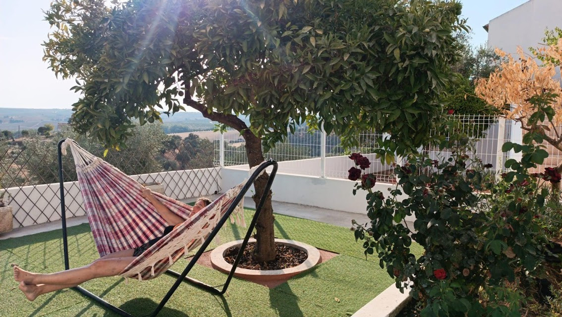 Relax