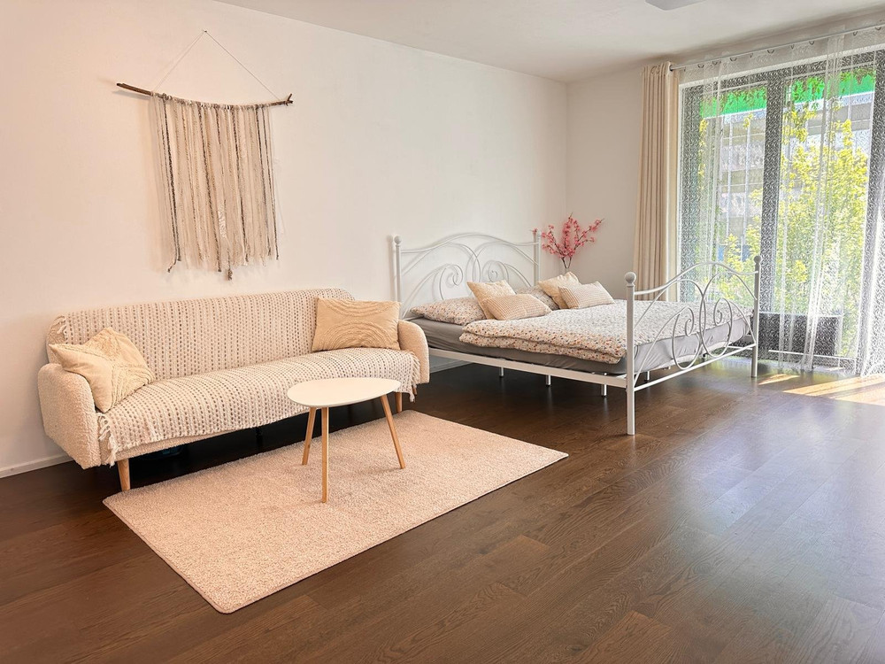 Evas Cozy Apartment Prague preview