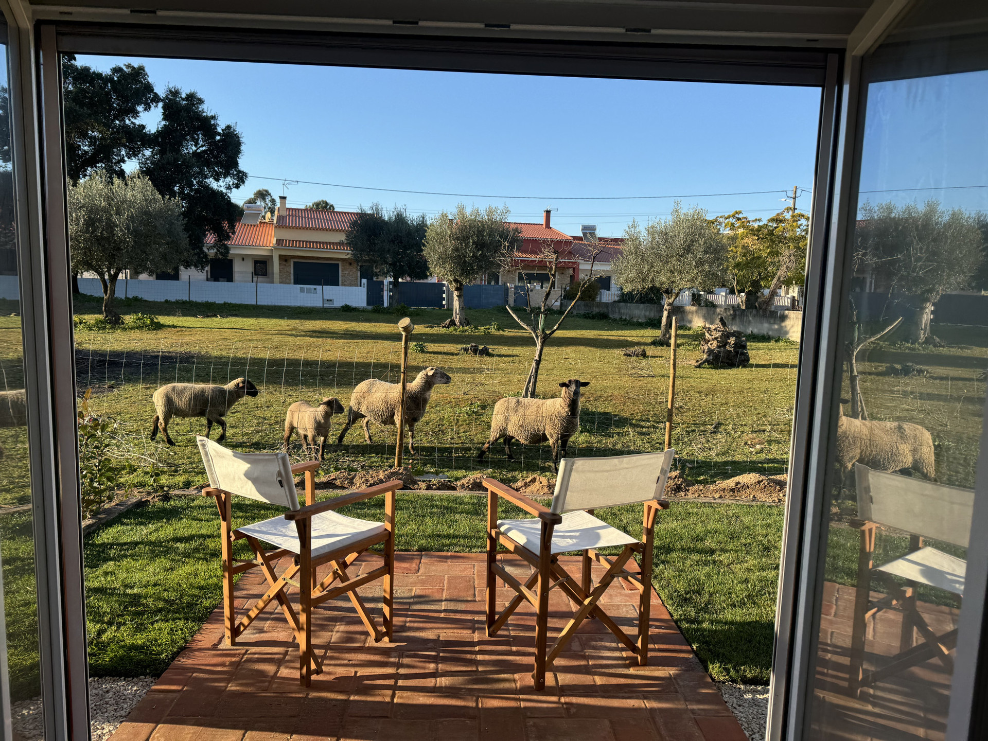 terrace